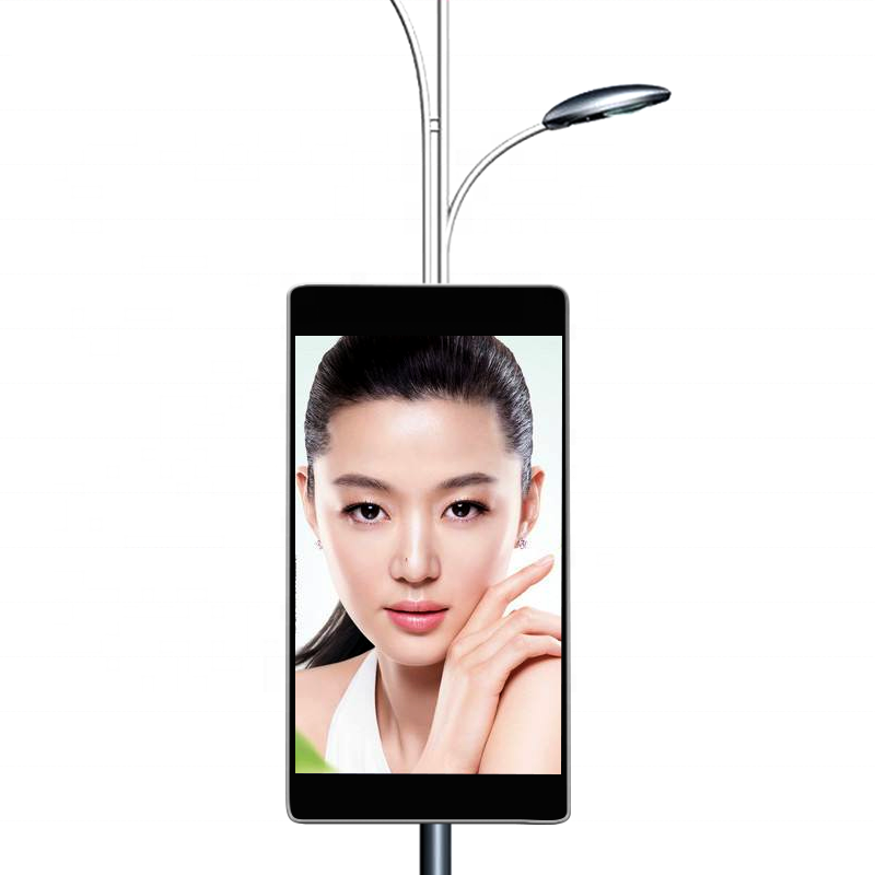 LED灯杆屏系列